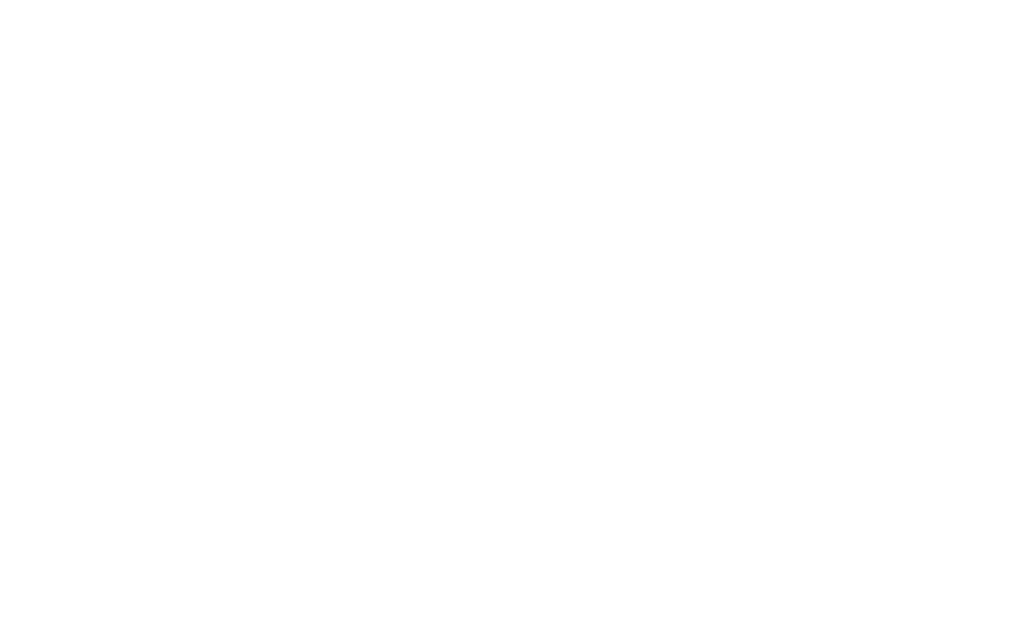 NIEMEHR404 Logo